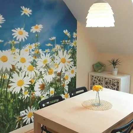 Hotel Kvet